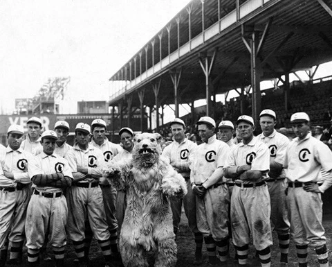 1908 Chicago Cubs Team With Mascot Photo Cover