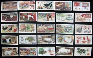 Our Pets Serie 1 - RARO 1926 Faulkner Cigarettes Juego de 25 Tarjetas De Colección Tabaco ¡AFILADO! - Imagen 1 de 2