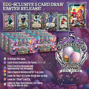 Sorteo de comodines de fútbol americano 2025 - ¡Ladrillo Spring Breakers listo para enviar! - Imagen 1 de 4