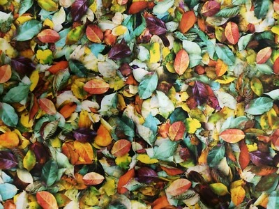 31"x 41" 100% cotton, Leaf Me Be, Hoffman California Fabrics  - Image 1 of 2