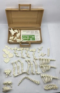 Vintage Fisher-Price Design-A-Saur Bones Case with 36 of 38pcs & Manual Dinosaur - Picture 1 of 7