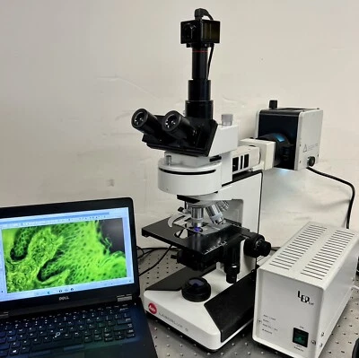 Microscopio de contraste de fase fluorescente Leica Leitz Laborlux S Foto 1 de 4