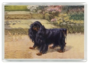 KING CHARLES SPIELZEUG SPANIEL SCHWARZ & HELLBRAUN HUND KUNSTDRUCK NEUHEIT KÜHLSCHRANKMAGNET GESCHENK - Bild 1 von 1