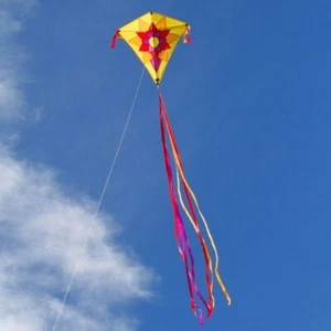 Diamond Kids Kite Sunflower Celestial + Line + Tails + Carry Bag - Picture 1 of 4