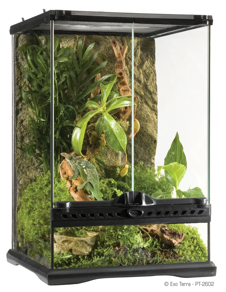 Exo Terra Terrarium aus Glas - 30 x 30 x 45cm (PT2602)