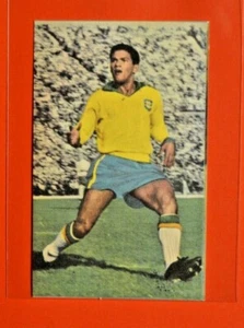 Fútbol Sicker La Nueva Bundesliga 1964/65-Garrincha Brasil #293 pegado - Imagen 1 de 2