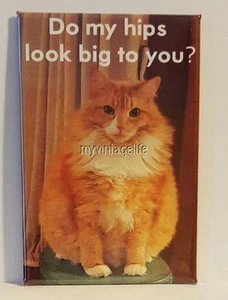 FAT FLUFFY ORANGE CAT DO MY HIPS LOOK BIG 2" x 3" Fridge MAGNET Humor Funny meme - Picture 1 of 1