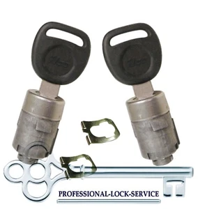 Silverado Sierra 02-06 (Some 01 & 07) Door Lock Key Cylinder Pair Tumbler 2 Keys - Imagen 1 de 1