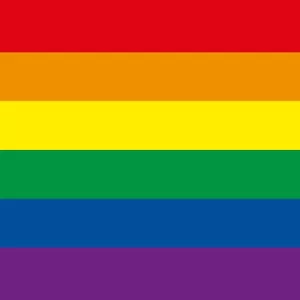 Kissenhülle 40 * 40 Dekokissen Rainbow Regenbogen Farben CSD Gay Pride #2046 - Bild 1 von 1