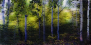 Forest Panorama - postal lenticular 3D tarjeta de felicitación - Imagen 1 de 1