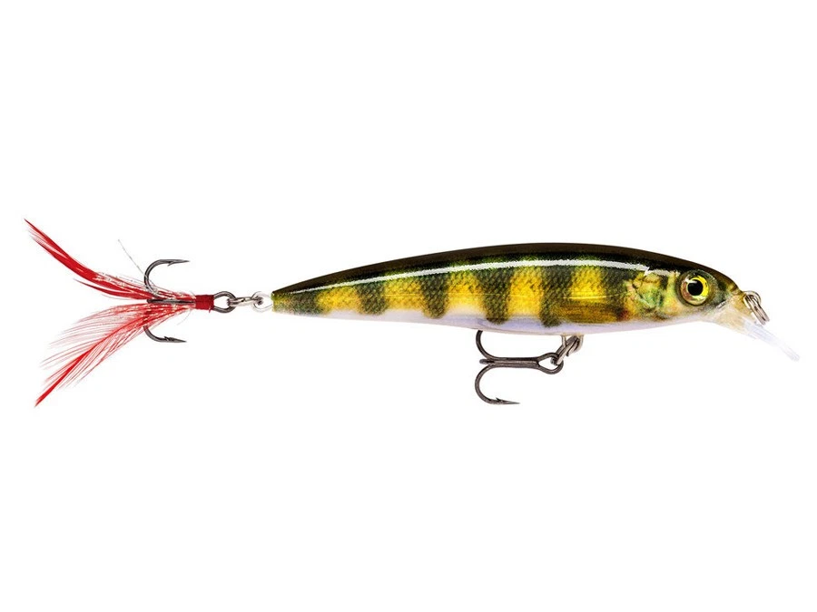 Rapala X-Rap 10cm 13g Suspending Esche Salmone Perca Trota Luccio NUOVI COLORI - Immagine 1 di 1