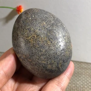 Top! Natürliches poliertes Dinosaurier Knochen Exemplar Madagaskar 176g um 403 - Bild 1 von 8