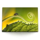 120x80cm Wandbild auf Leinwand Makrofotografie Käfer Pflanze Grün Natur