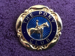 Altes Abzeichen des Pony Clubs - British Horse Society - Bild 1 von 2