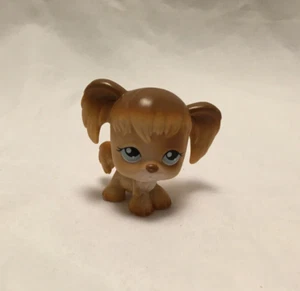 Figura de perro Cocker Spaniel Littlest Pet Shop marrón bronceado ojos azules - Hasbro 2004 - Imagen 1 de 5