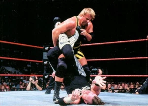 1998 Comic Images WWF Superstarz tarjeta de lucha libre #18 Owen Hart - Imagen 1 de 2