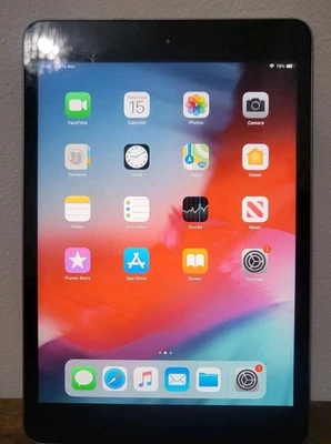 Apple iPad mini 2 16GB Black/Silver 7.9" Tablet A1489 (04)  - Image 1 of 3