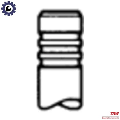 6x INTAKE VALVE 22162 FOR BF4L913/4L913C 4.1L 4cyl BF 6L 913 C 6.1L 6cyl - Image 1 of 4