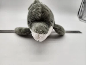 2016 Sea World 14" Dolphin Stuffed Animal/Plush - Picture 1 of 6