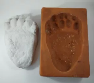 Custom Made Rubber Mold BLACK BEAR to make Plaster Footprint Paw Print ALASKA #2 - Picture 1 of 10