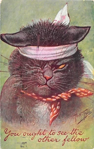1909 sgd. Arth. Thiele Wounded Cat after Fight post card - Picture 1 of 2