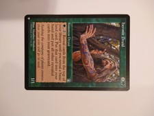 x1  Hermit Druid Stronghold Magic the Gathering Green MTG
