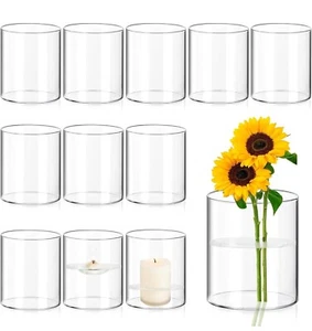 12Pcs Glass Cylinder Vases for Centerpieces - 4 in Clear Cylinder Vases - Picture 1 of 3
