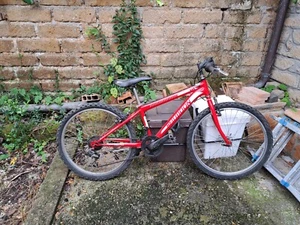 bicicletta mountain bike - Foto 1 di 6