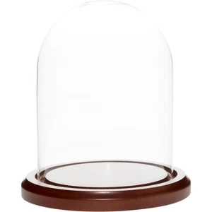 Cúpula de exhibición de vidrio Plymor de 4,5 pulgadas x 6 pulgadas (base de madera oscura) - Imagen 1 de 3