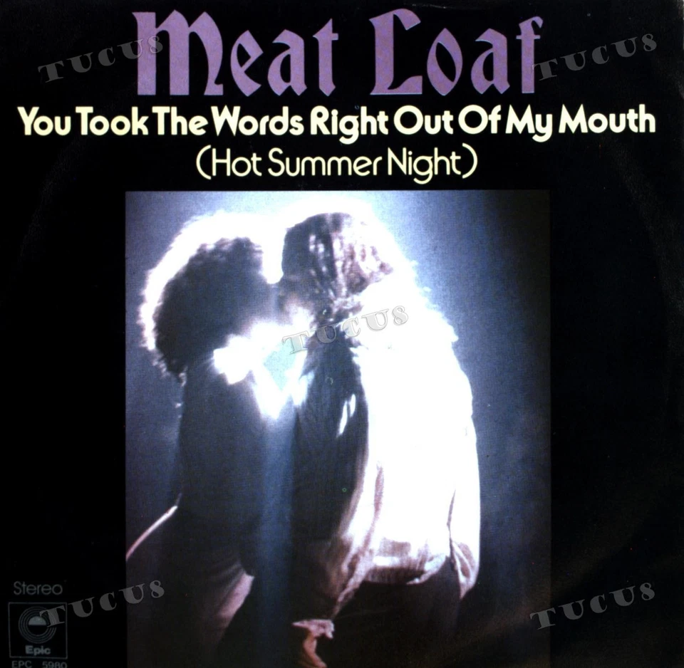 Meat Loaf - You Took The Words Right Out Of My Mouth (Hot Summer 7in .* - Image 1 of 1