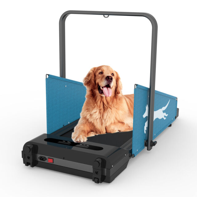 Large JOG A DOG Treadmill - Model DC67