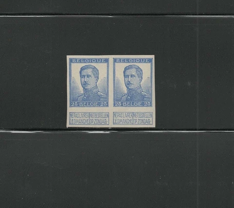 Stamps Belgium, 25 cents. blue imperf pair MNH Cover