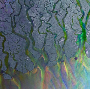 alt-J An Awesome Wave (CD) Album - Imagen 1 de 1