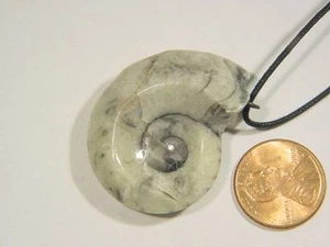 BUTW Marruecos Ammonita Nautiloide Collar Colgante Fósil 1615C - Imagen 1 de 1