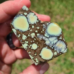 NATURAL STAR FOX VARISCITE ROUGH NEVADA 83.0 GRAMS - Foto 1 di 7