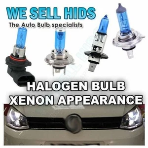 H7 H1 H11 H8 H3 H4 9006 9005 XENON LIKE HALOGEN BULBS 6000K WHITE DIRECT REPLACE - Picture 1 of 9