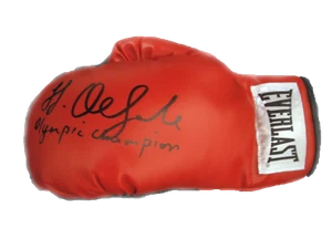 GUANTE DE BOXEO EVERLAST FIRMADO JAMES DEGALE CON PRUEBA DE INSCRIPCIÓN OLÍMPICA Y CERTIFICADO DE AUTENTICIDAD - Imagen 1 de 2