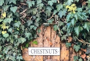 Modern House Name Plate for Wall, Door, Gate. Customised Sign Name Number Plaque - Picture 1 of 24