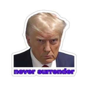 Trump Kiss-Cut Stickers Mug Shot Never Surrender 4 Sizes President Collectible - Picture 1 of 13