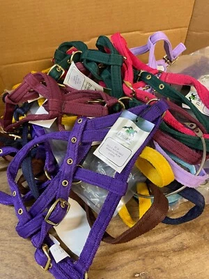 IV HORSE Restposten 25 kleine Pony/Kopfhalsbänder 3/4'' verschiedene Größen/Farben leichte Sekunde