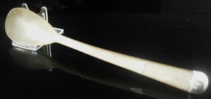 Schottische Provinz Silber & Rinder Kuh Horn Servierlöffel, um 1900, W Dunningham - Bild 1 von 10