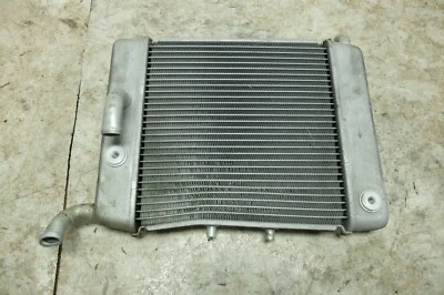 14 本田 NSS 300 NSS300 Forza 滑板车散热器 — 第 1/4 张图片