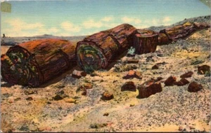 Cartolina vintage lino Logs of Stone Pietrified Forest Arizona B5 - Foto 1 di 2