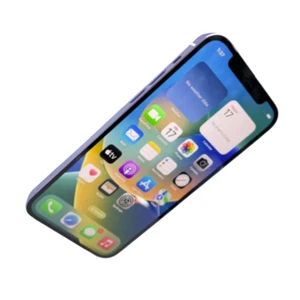 Apple iPhone 12 64/128GB (GSM+CDMA) Fully Unlocked (5G) - Black/Purple - Afbeelding 1 van 7