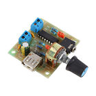 PM2038 USB Amplifier Board Audio Power Supply Amplifier Module 5W Accessory ✲