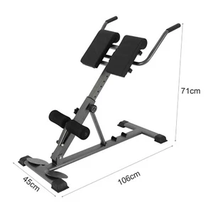 Fitness Workout Sport Roman Chair Hyperextension Extension Back Bench Foldable - Picture 1 of 12