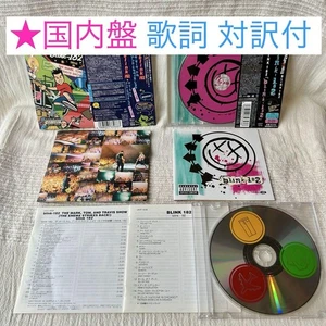 Japan Edition First Press Limited blink 182 CD Album Enima's Counterattack - Bild 1 von 20