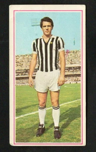 Figurina Calciatori Panini 1970-71 Bettega (Juventus) Ottima ▓ - Imagen 1 de 1