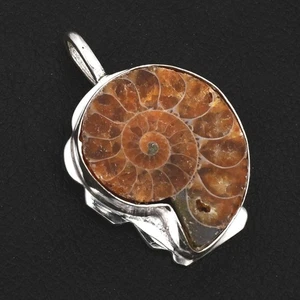 Ammonite Fossil Gemstone Handmade High Finish Pendant Jewelry 1.96" AP 41731 - Foto 1 di 1