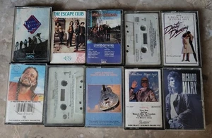 Lot of 10 Cassettes, Lynyrd Skynyrd, Willie Nelson, The Ramones Lot 2 Pre-owned  - Picture 1 of 12